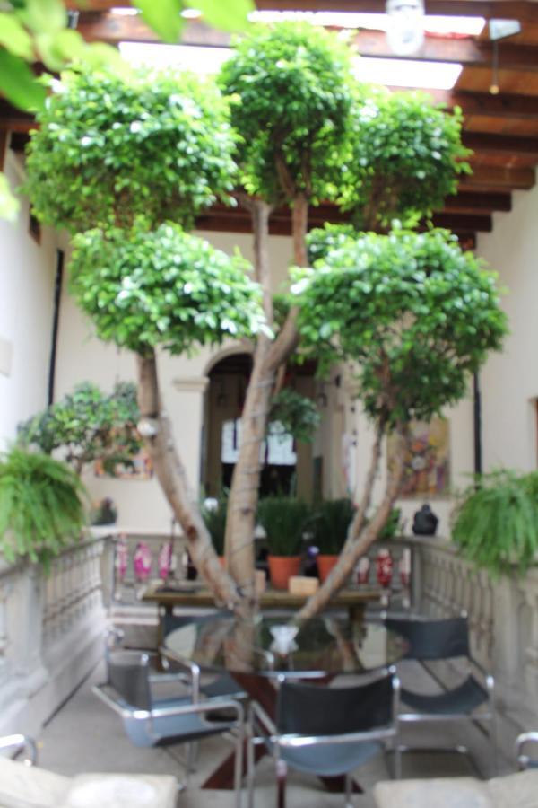 Guest House Aldama Mexikóváros Kültér fotó